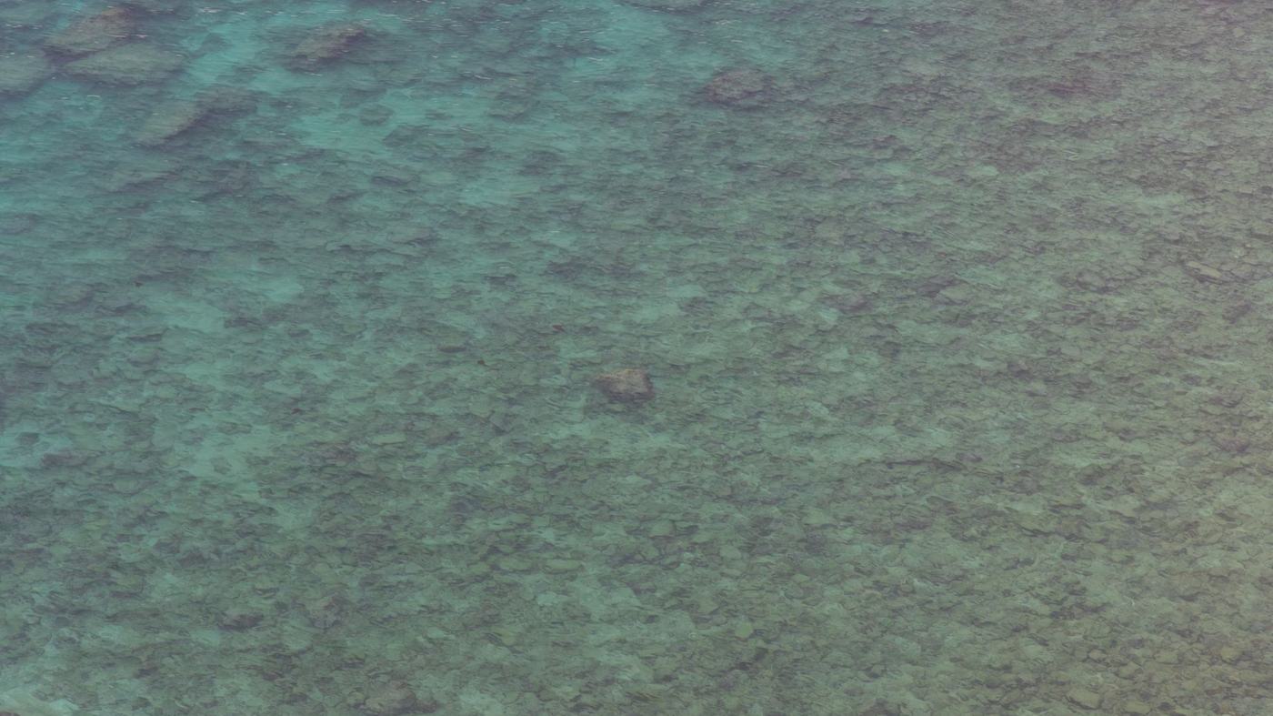 A serene aerial view of turquoise waters revealing a stunning coral reef formation beneath the surface.