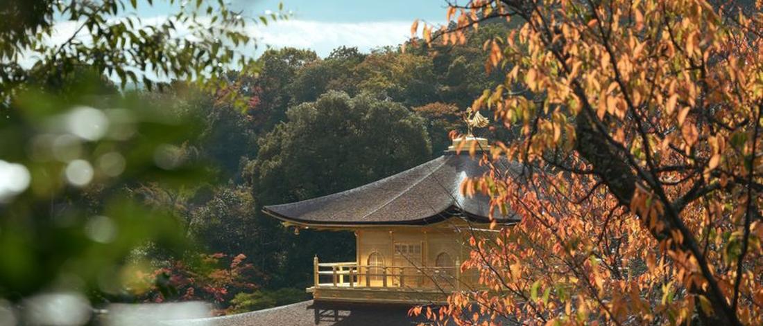 Golden Pavilion temple surrounded by vibrant autumn leaves in Kyoto, Japan.