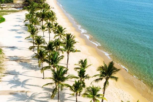 Stunning aerial view of a pristine tropical beach lined with palm trees.